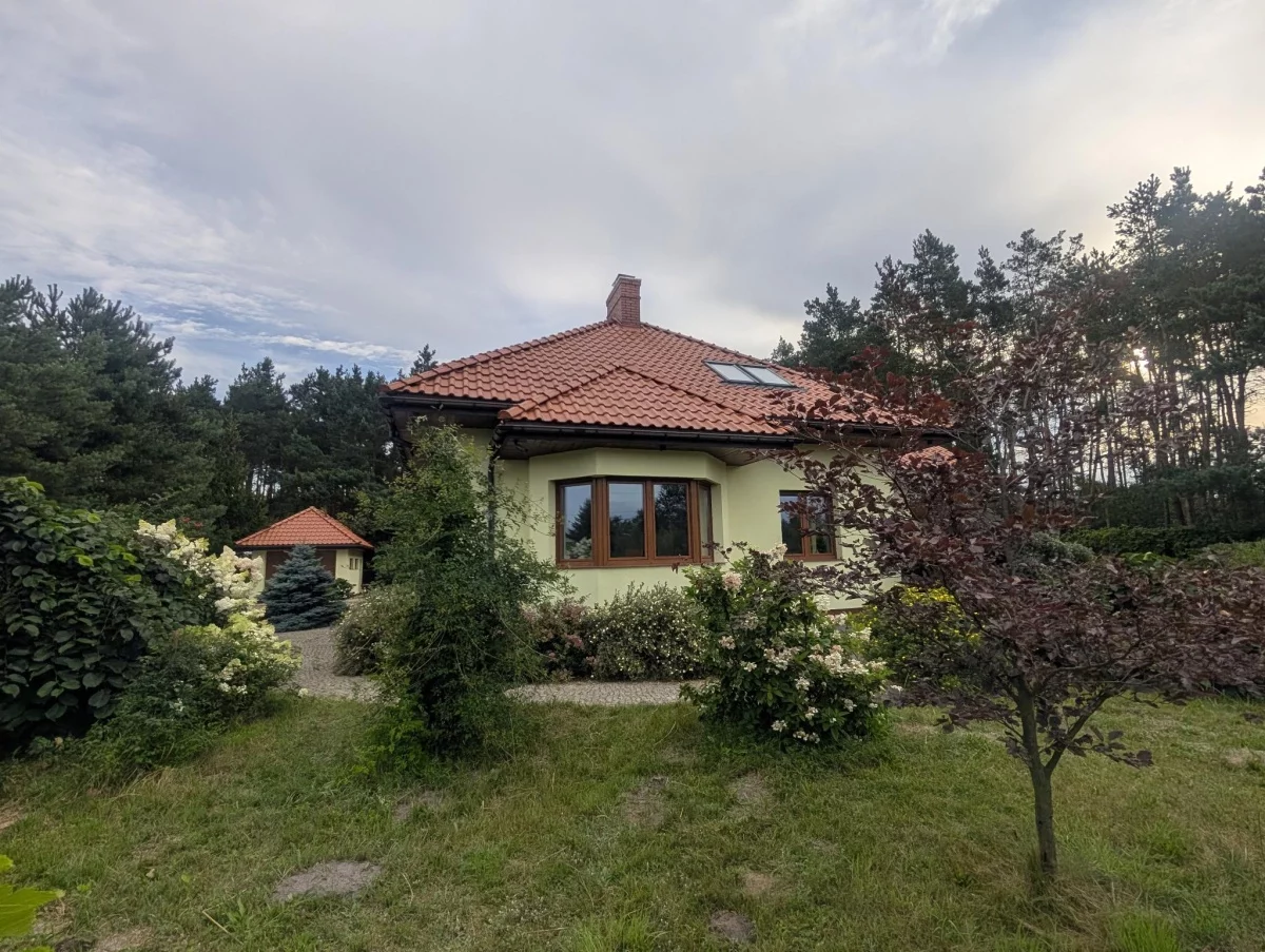 833413 - zdjęcie nr 0
