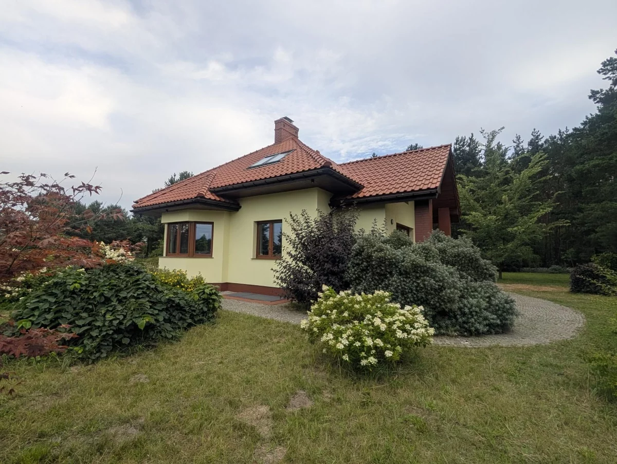 833413 - zdjęcie nr 1