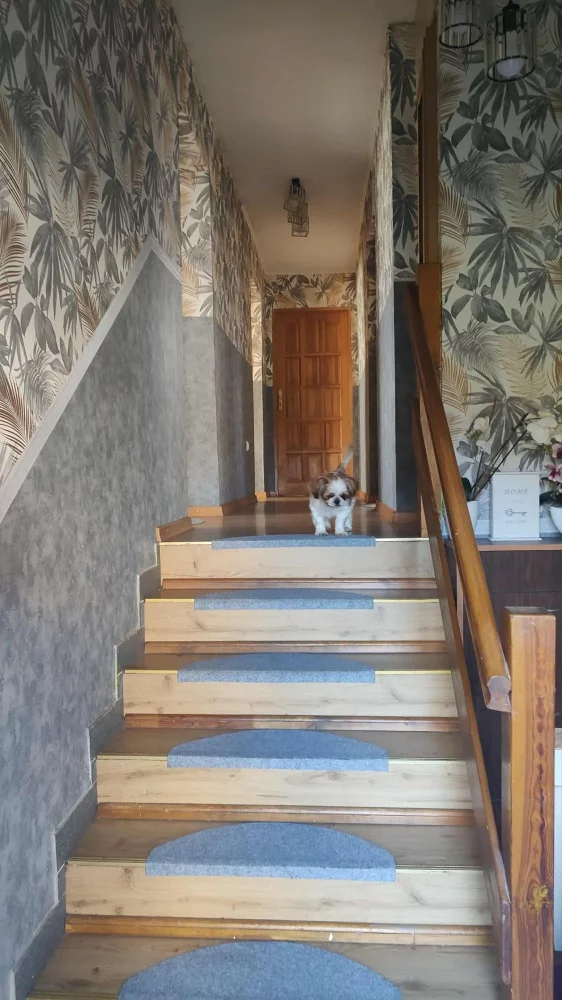 Dom 165,00 m², oferta nr , 834306, Wróblowice, Lutyńska