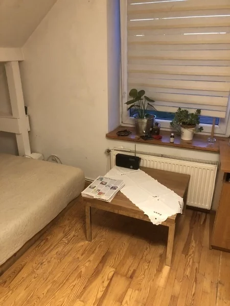 833362 - zdjęcie nr 2