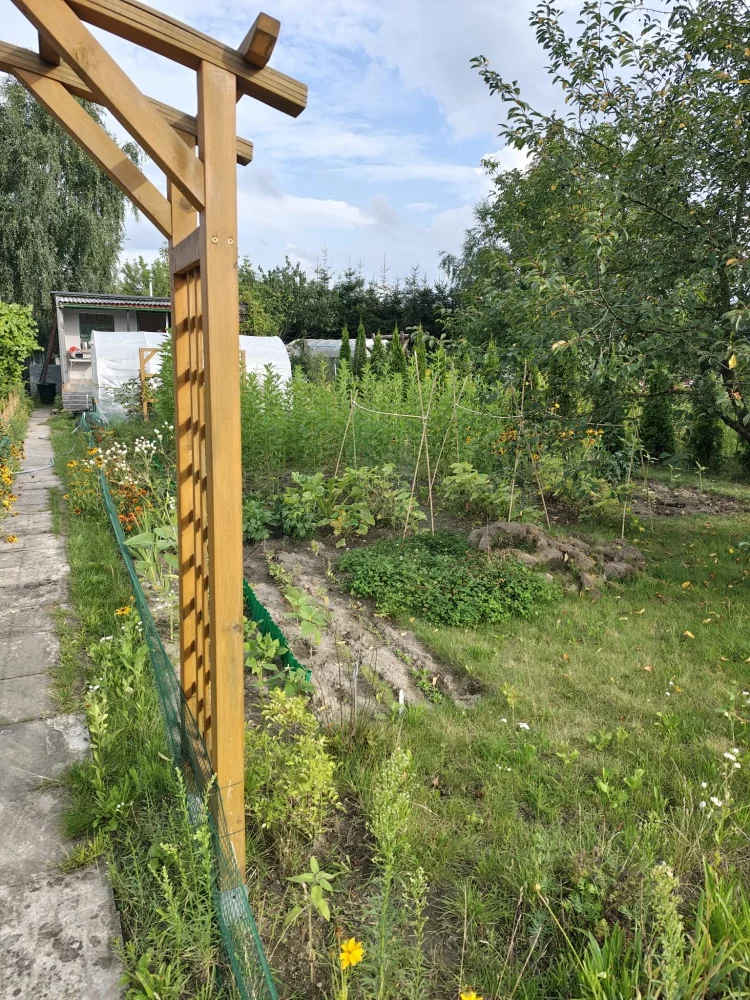 Działka 500,00 m², oferta nr , 833895, Janikowo, 1-go Maja