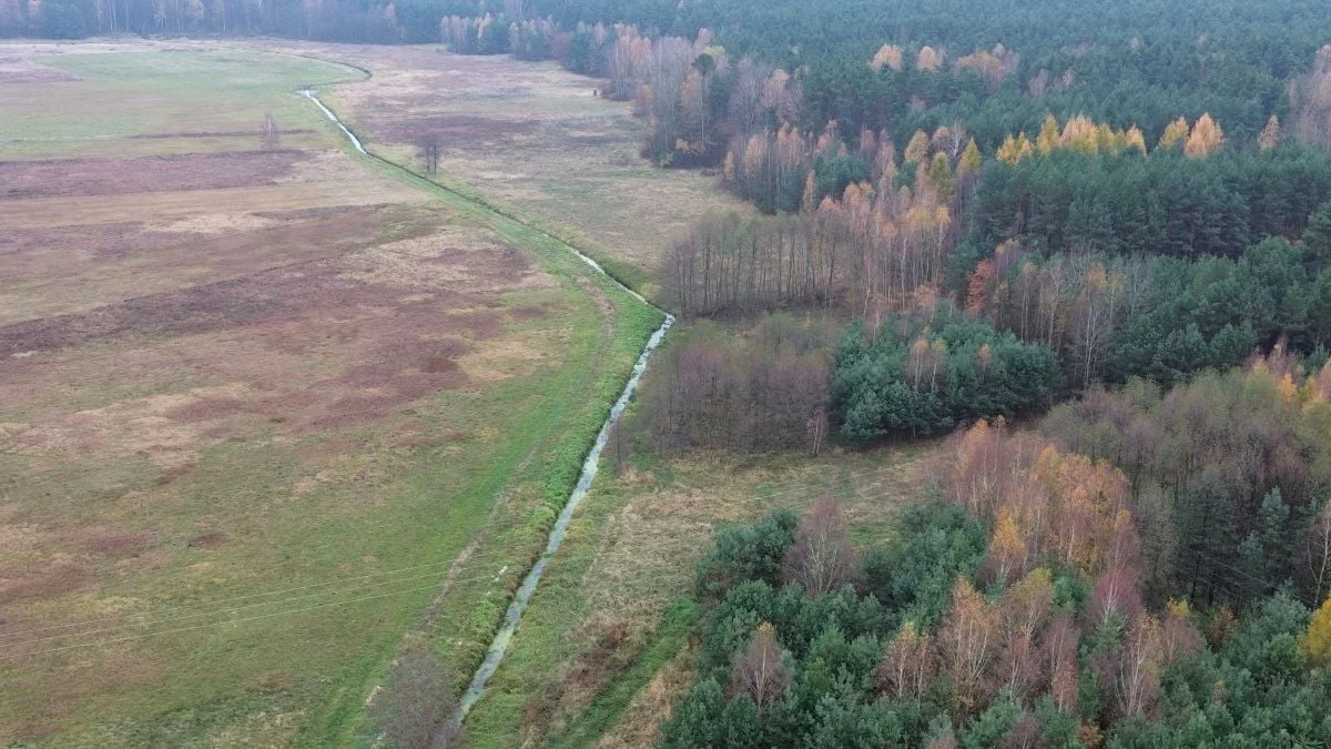 832805 - zdjęcie nr 2
