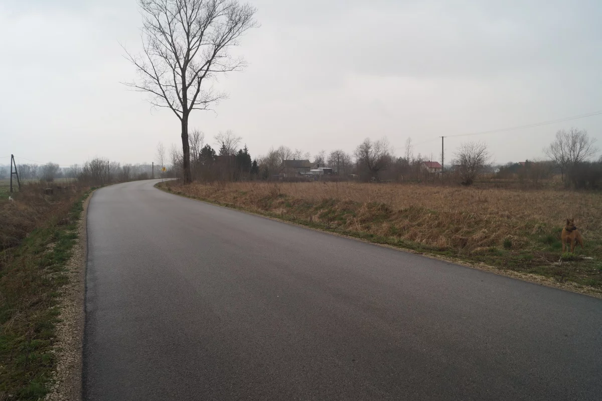 833580 - zdjęcie nr 0