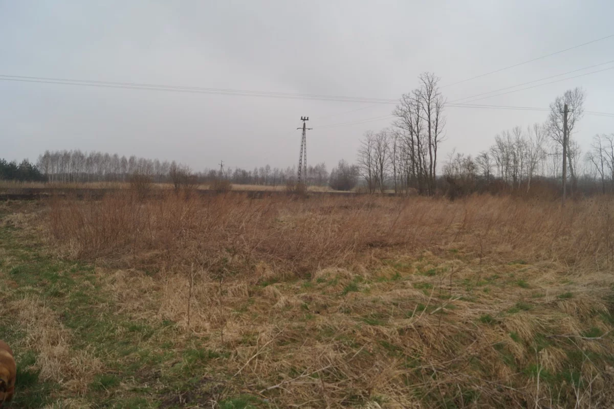 833580 - zdjęcie nr 1