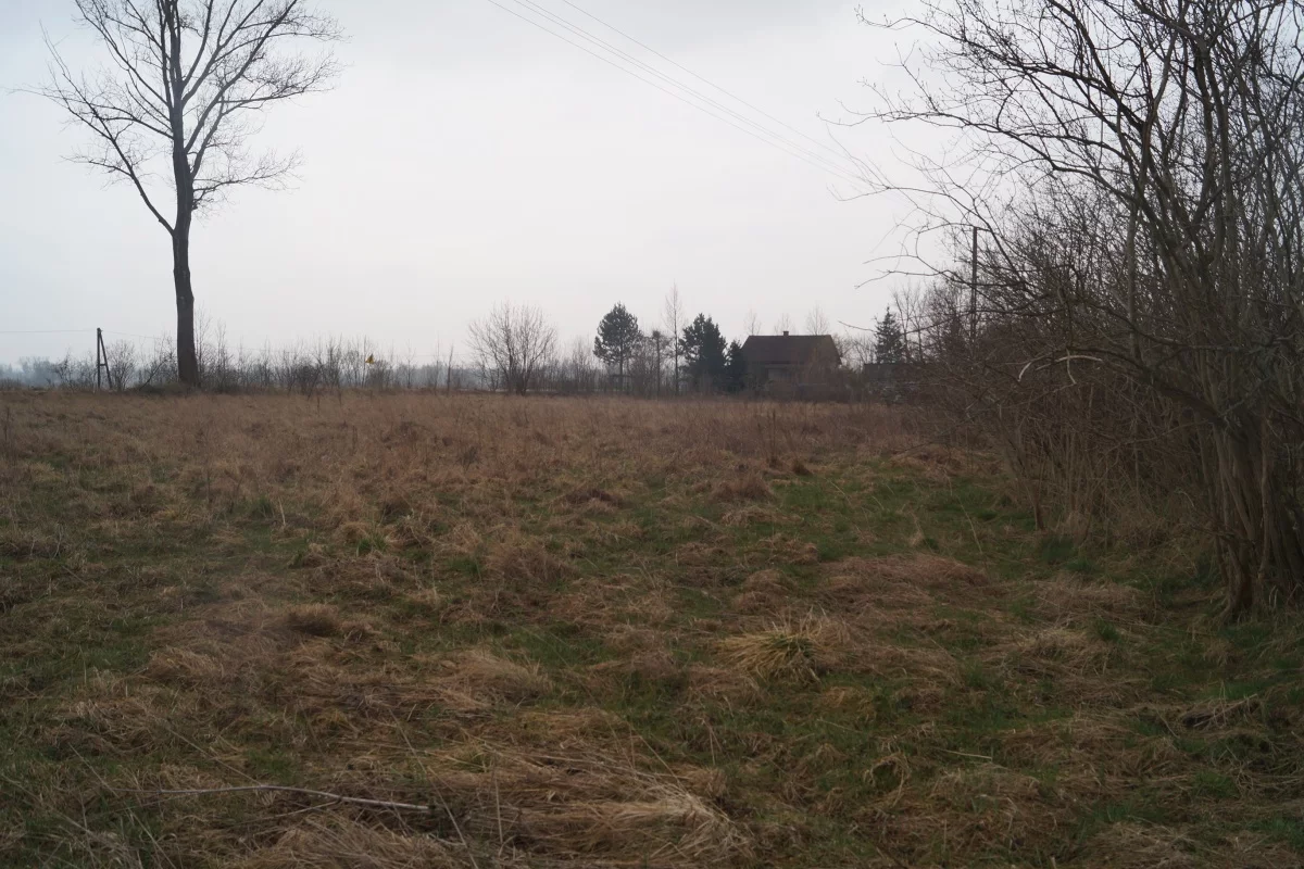 833580 - zdjęcie nr 4