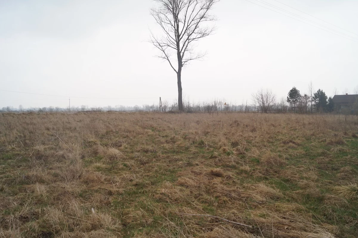 Działka 1 000,00 m², oferta nr , 833580, Bejsce