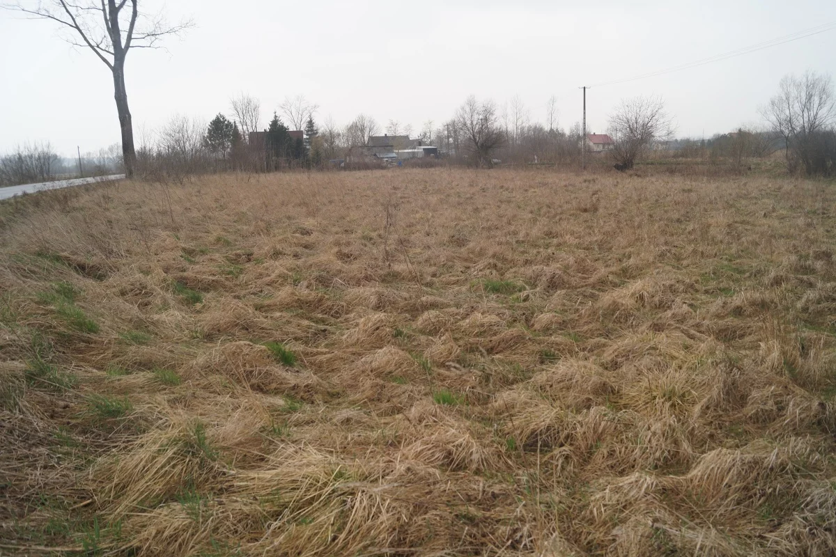 Działka 1 000,00 m², oferta nr , 833580, Bejsce