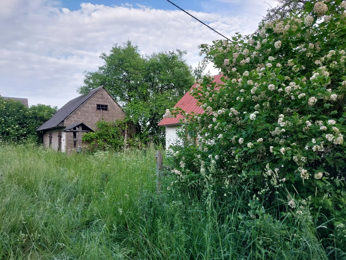 Apartamenty 833261 Białogóry