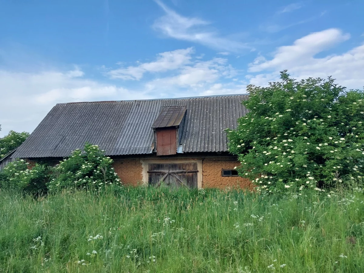 833261 - zdjęcie nr 1