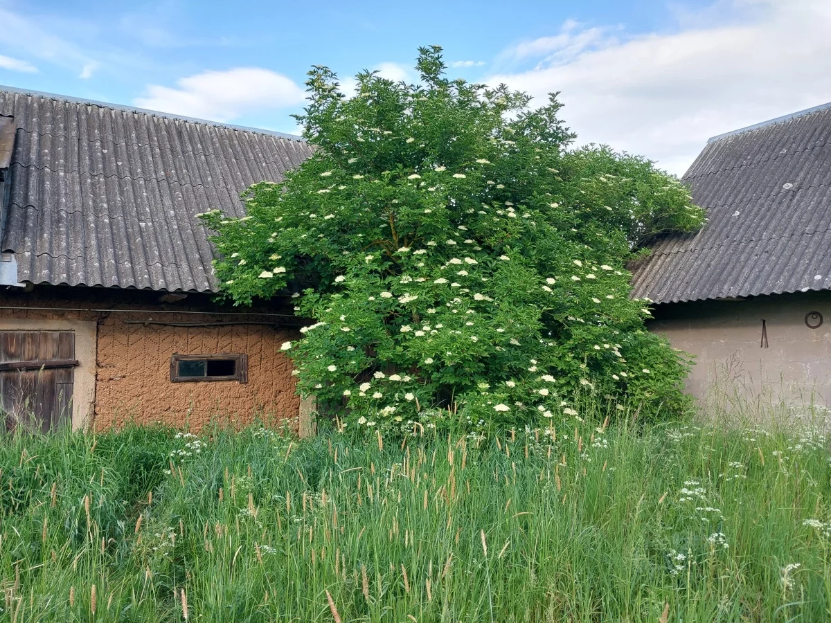 833261 - zdjęcie nr 4