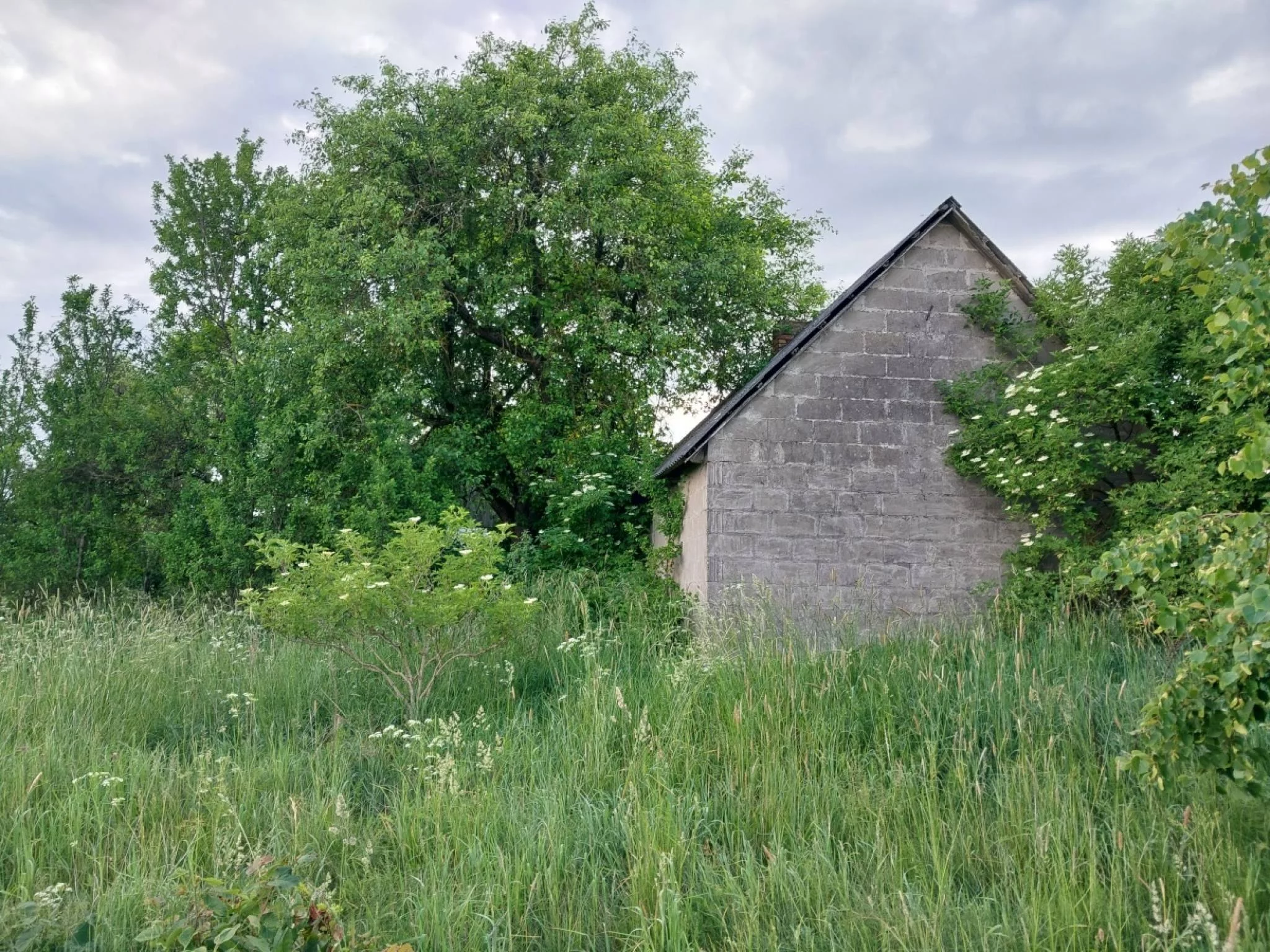 Działka 14 475,00 m², oferta nr , 833261, Białogóry