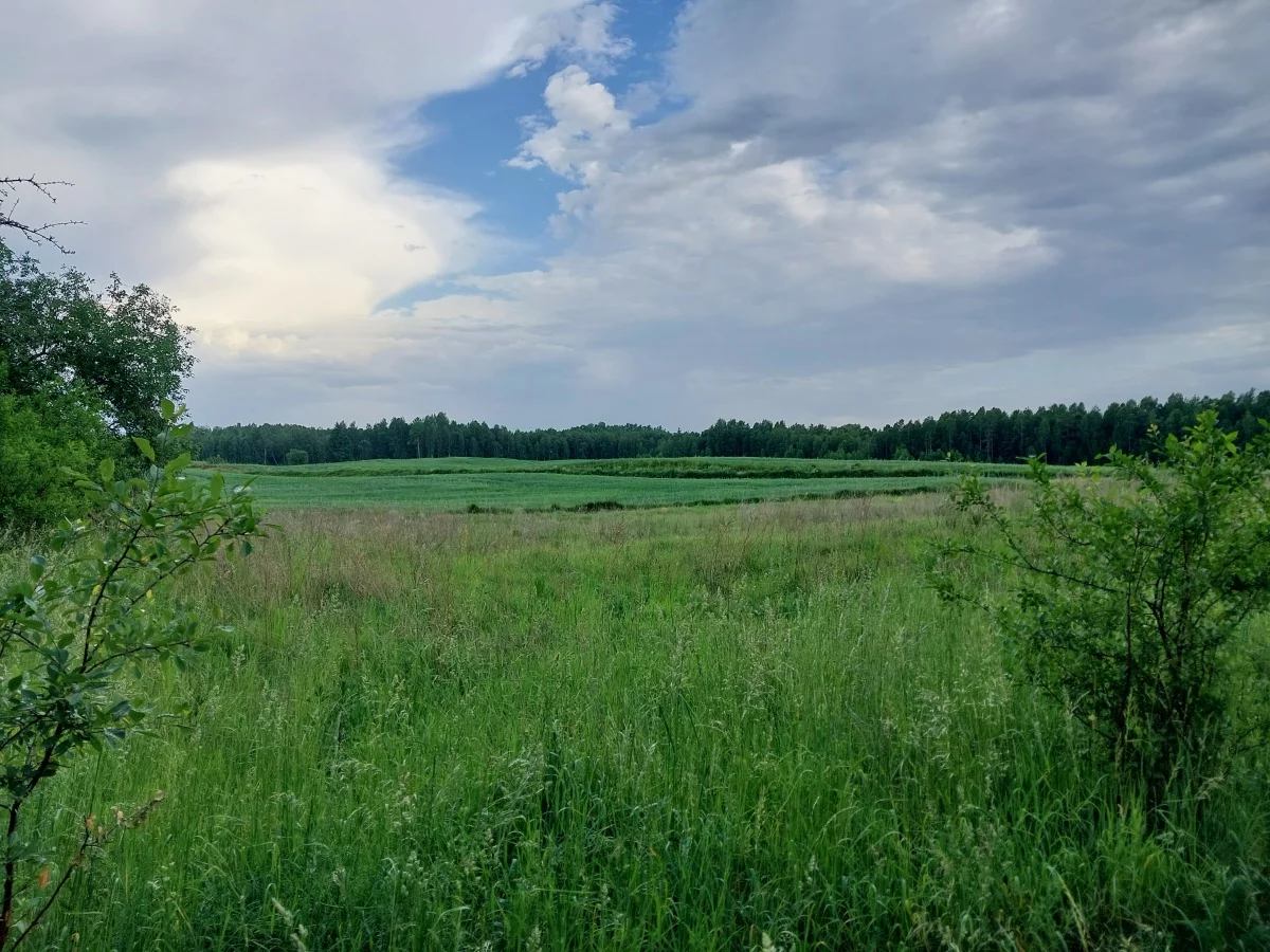 Działka 14 475,00 m², oferta nr , 833261, Białogóry