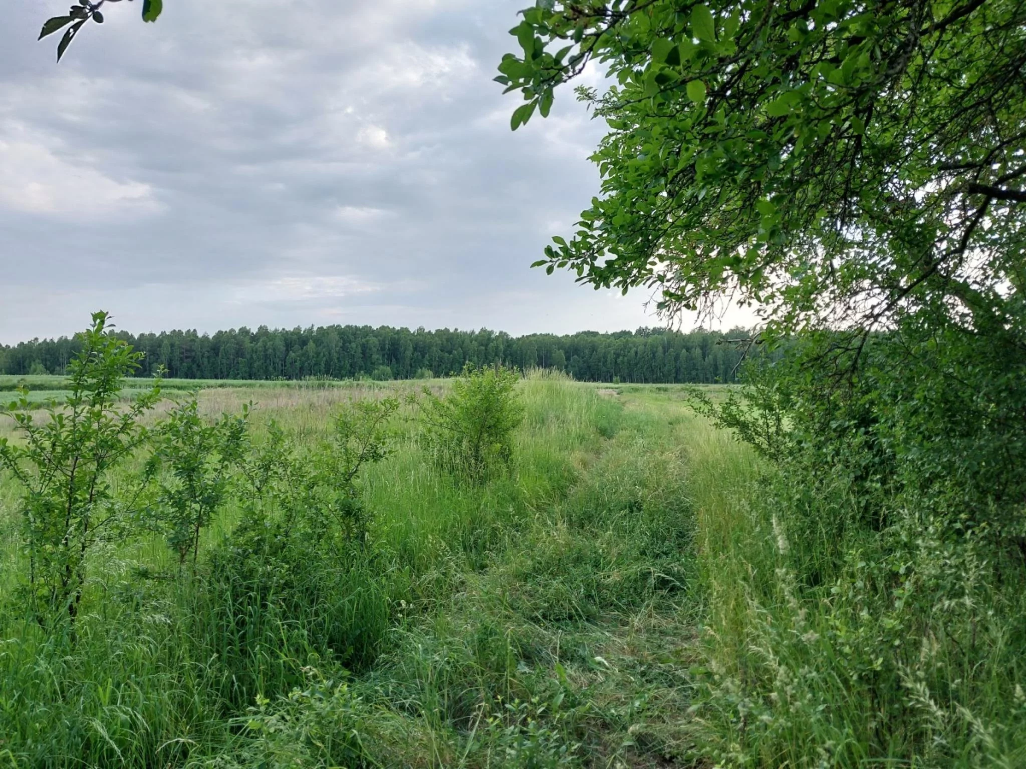 Działka 14 475,00 m², oferta nr , 833261, Białogóry