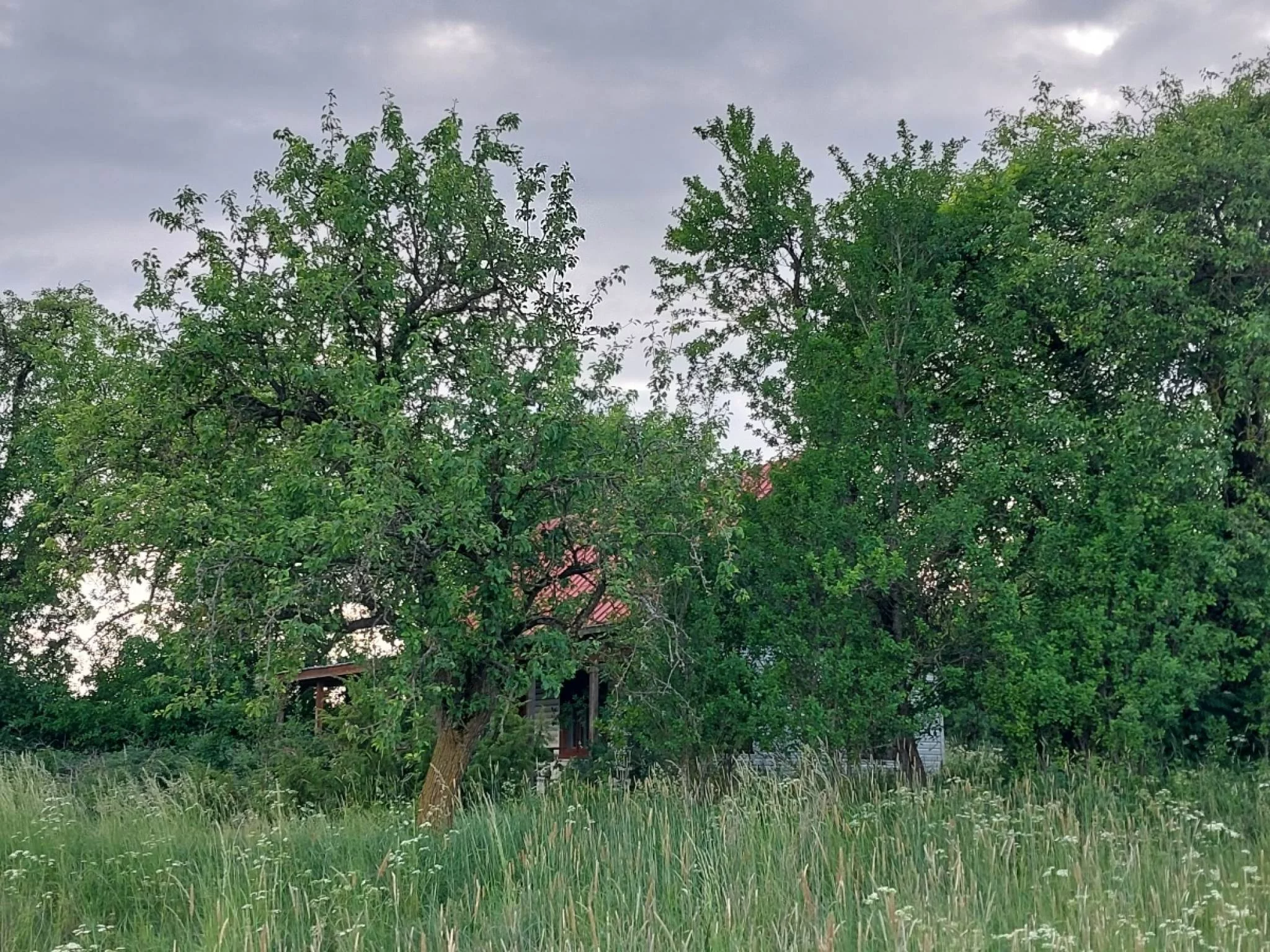 Działka 14 475,00 m², oferta nr , 833261, Białogóry