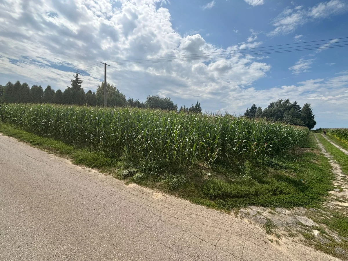 Działka 1 350,00 m², oferta nr , 834028, Płouszowice-Kolonia, brak