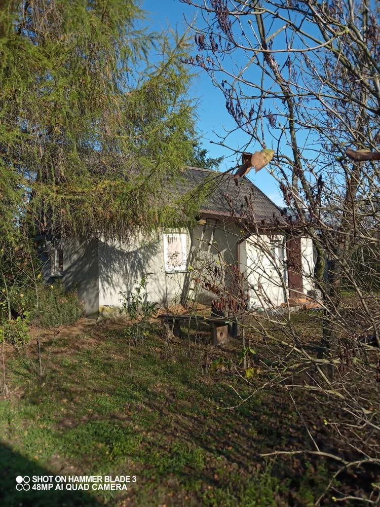 832484 - zdjęcie nr 0