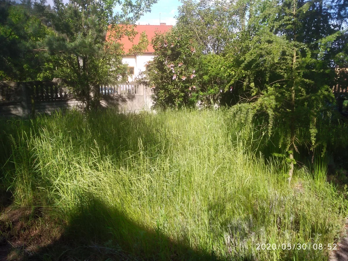 832484 - zdjęcie nr 1