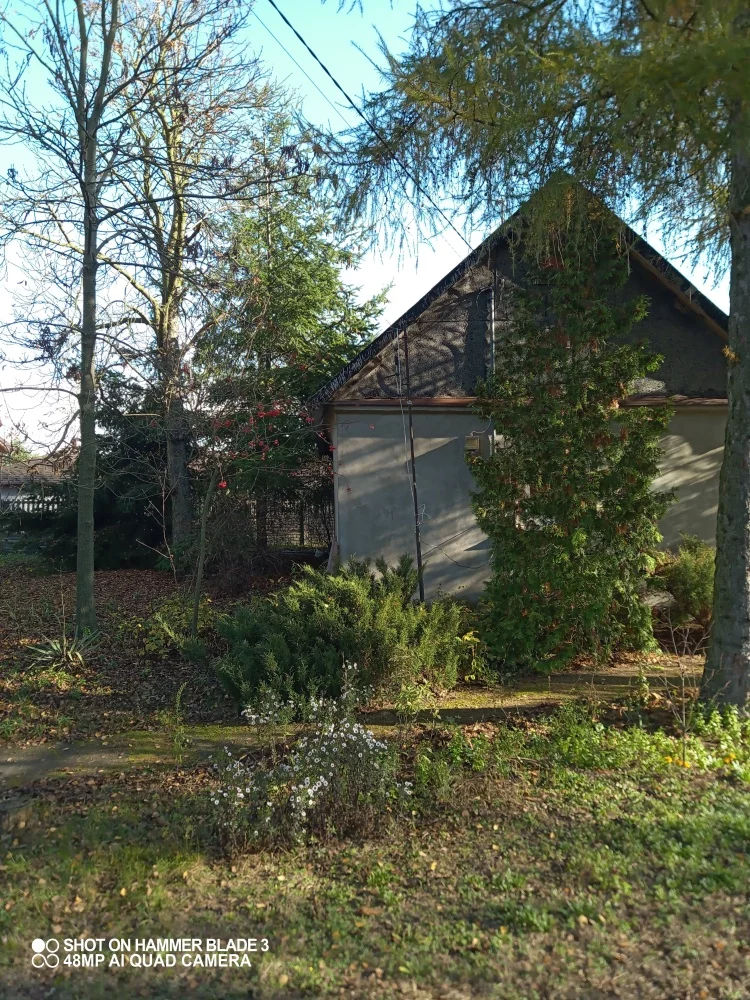 832484 - zdjęcie nr 2