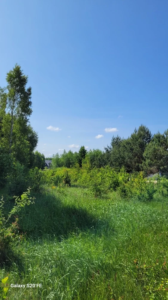 832540 - zdjęcie nr 3