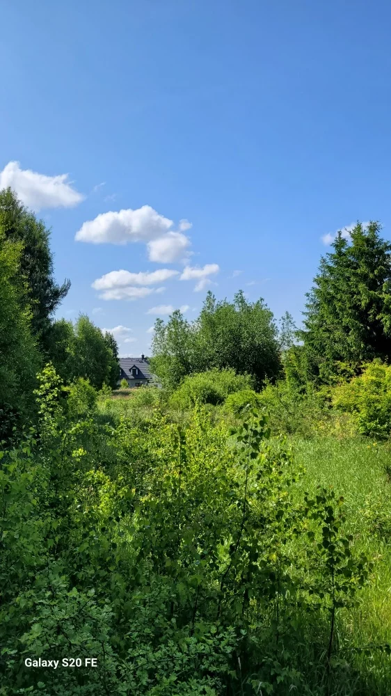 832540 - zdjęcie nr 4