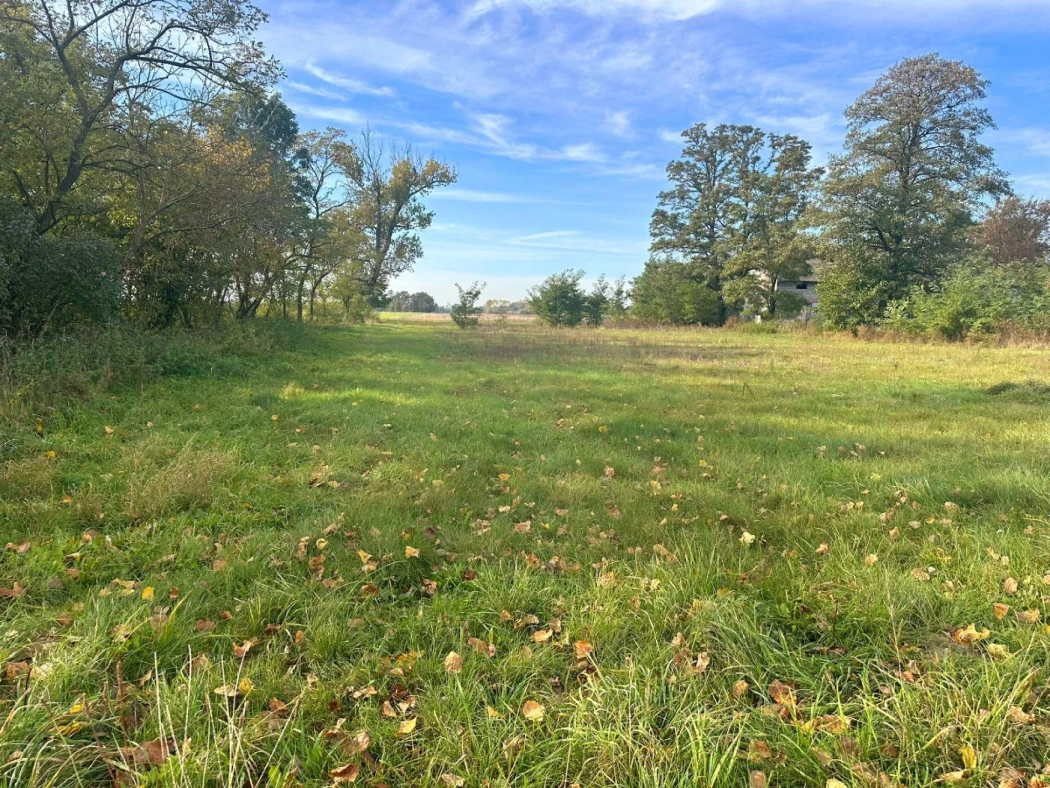 Działka 16 000,00 m², oferta nr , 833307, Dąbie, Cichmiana