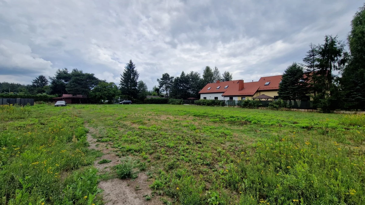 833611 - zdjęcie nr 1