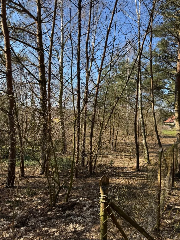 Działka 2 392,00 m², oferta nr , 832611, Puszczykowo, Czarna