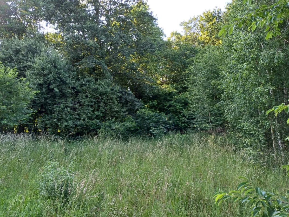 Działka 11 800,00 m², oferta nr , 829869, Bełchatów, Czyżewskiego