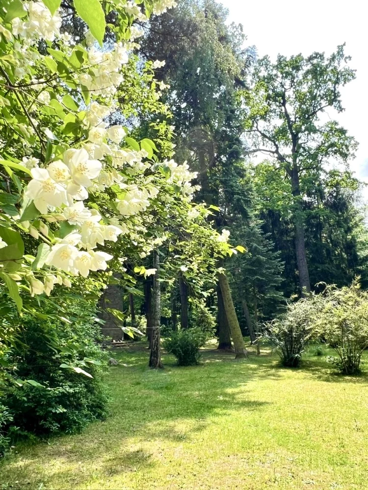 833430 - zdjęcie nr 0