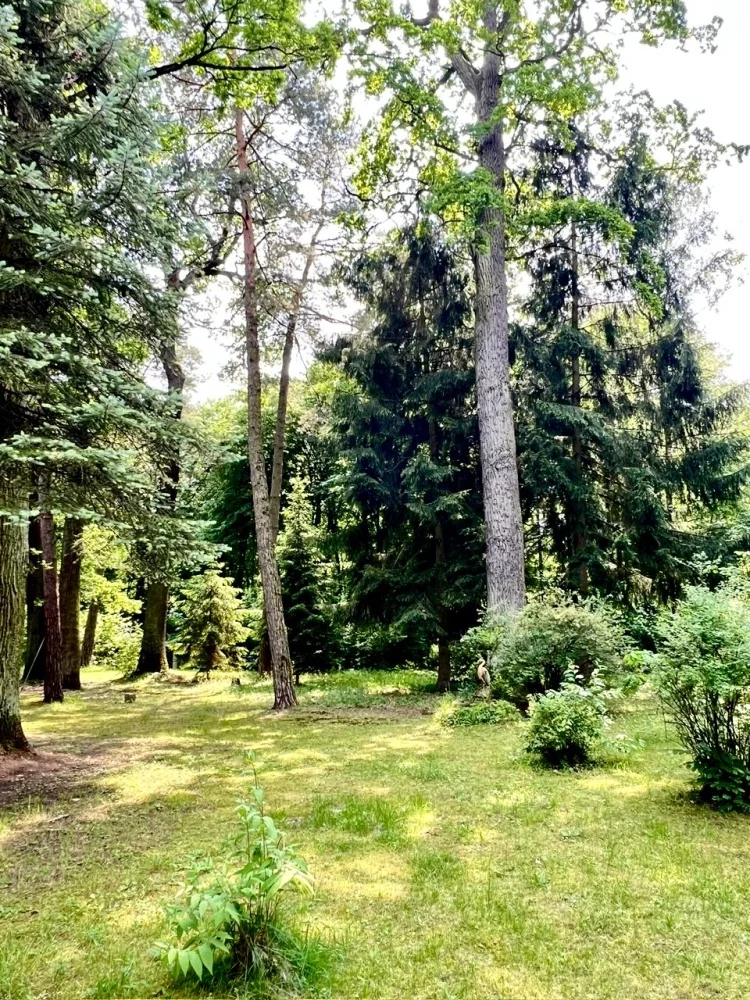 833430 - zdjęcie nr 1