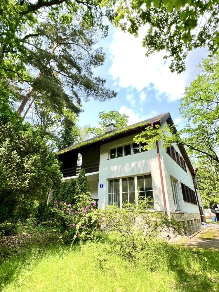 833430 - zdjęcie nr 3