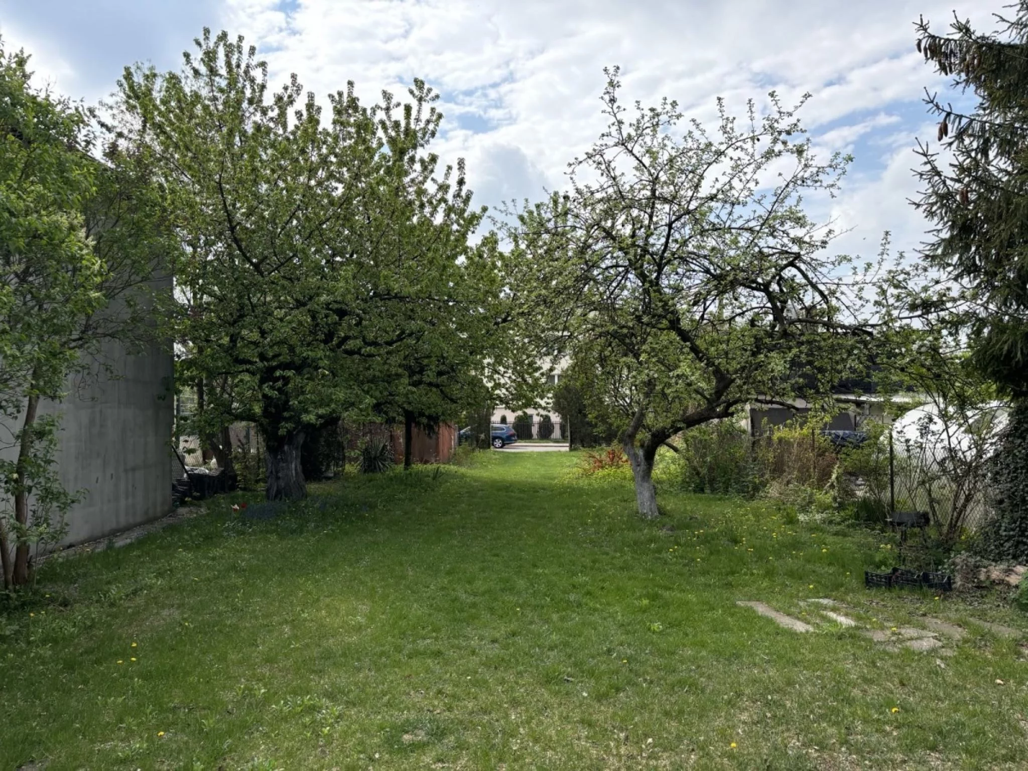832321 - zdjęcie nr 2