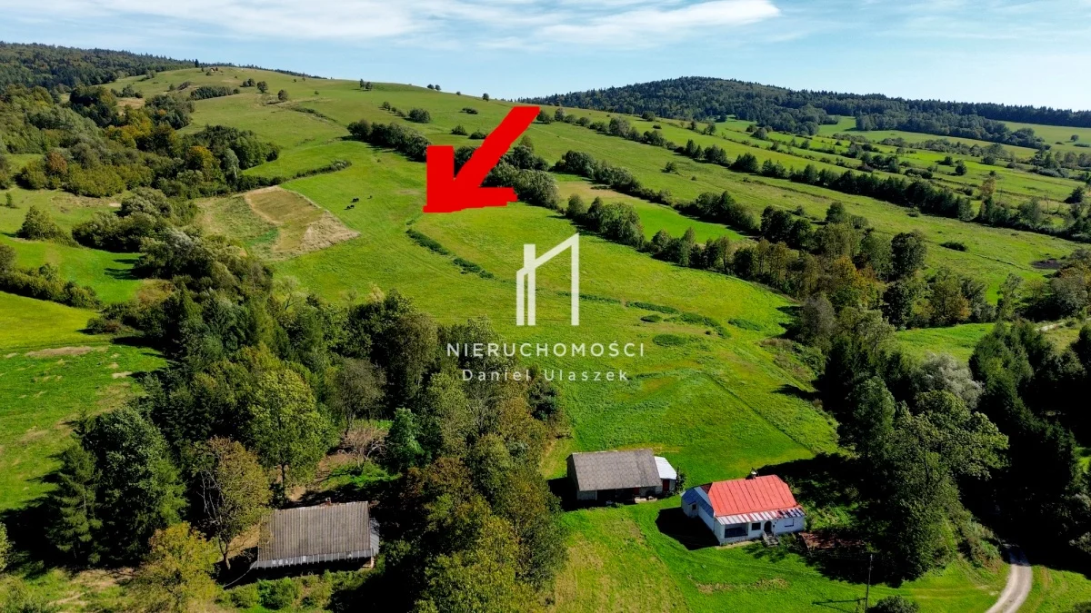 Działka 80 937,00 m², oferta nr , 834072, Dukla