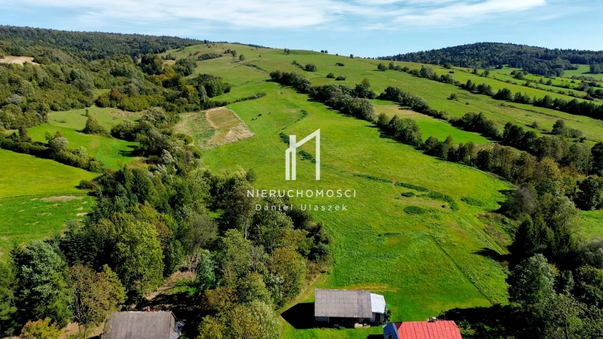Działka 80 937,00 m², oferta nr , 834072, Dukla