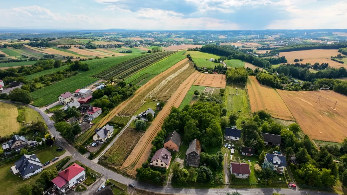 833554 - zdjęcie nr 0