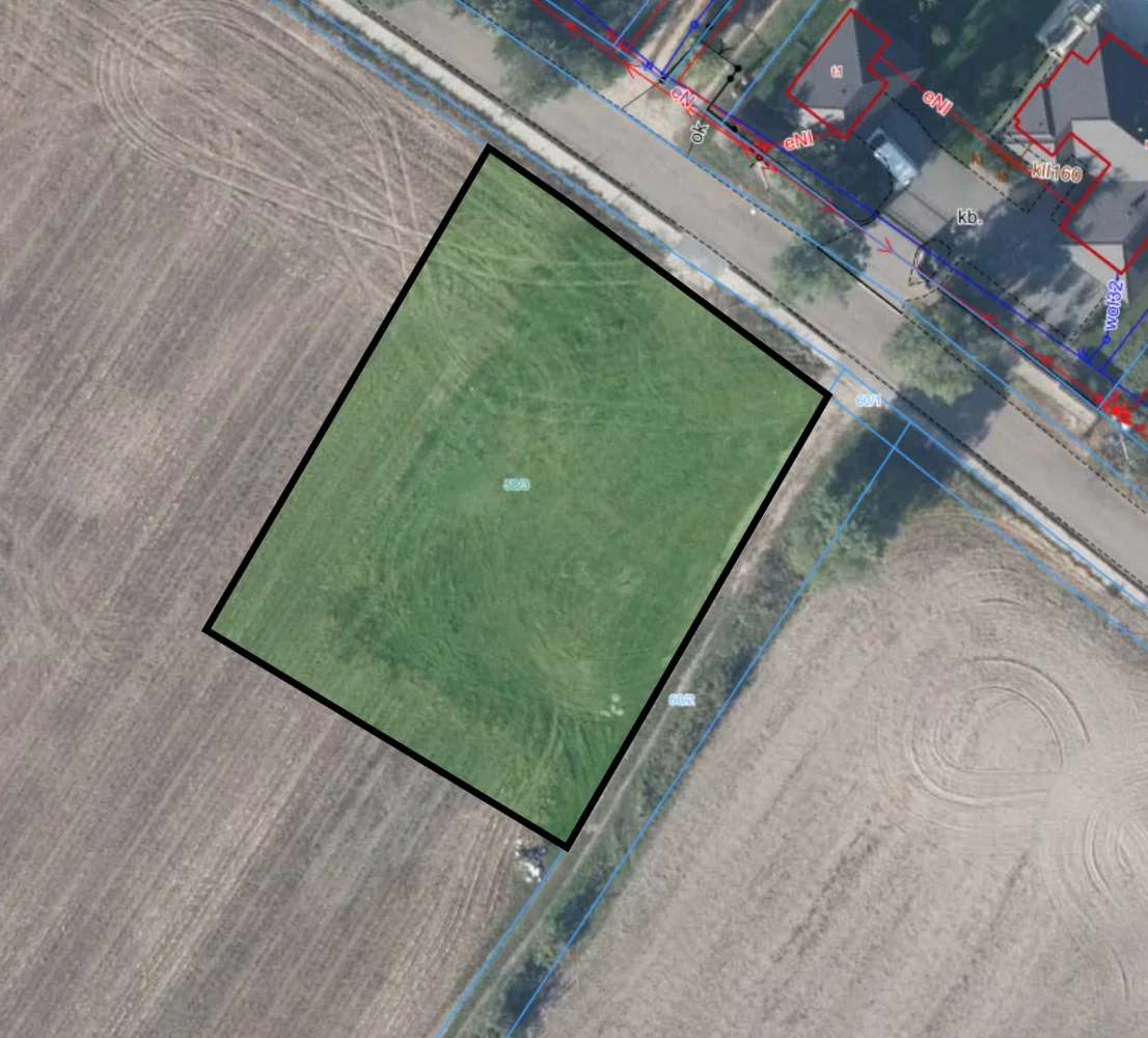 833772 - zdjęcie nr 2