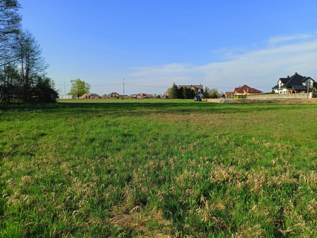 833319 - zdjęcie nr 3