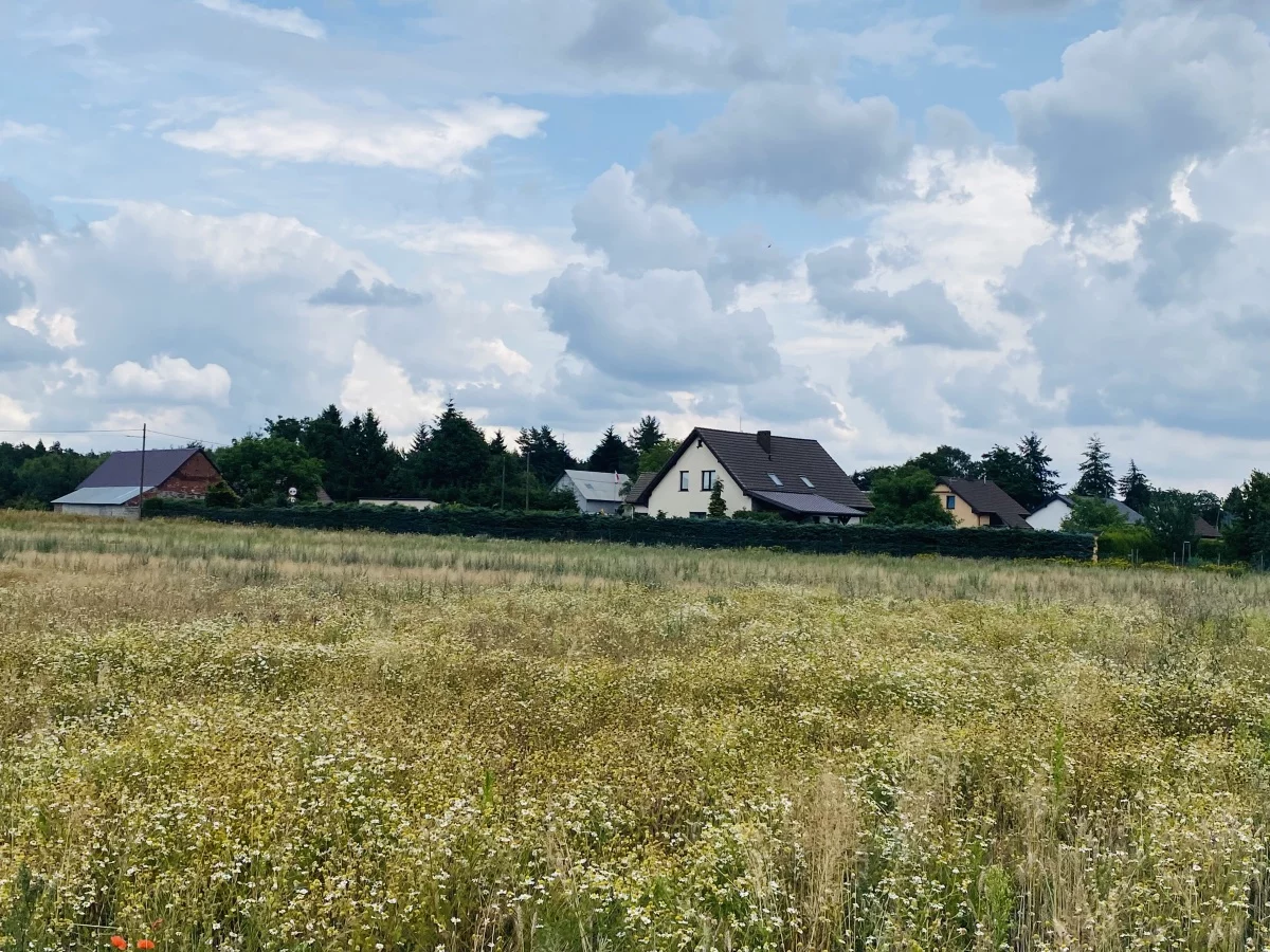 833417 - zdjęcie nr 2