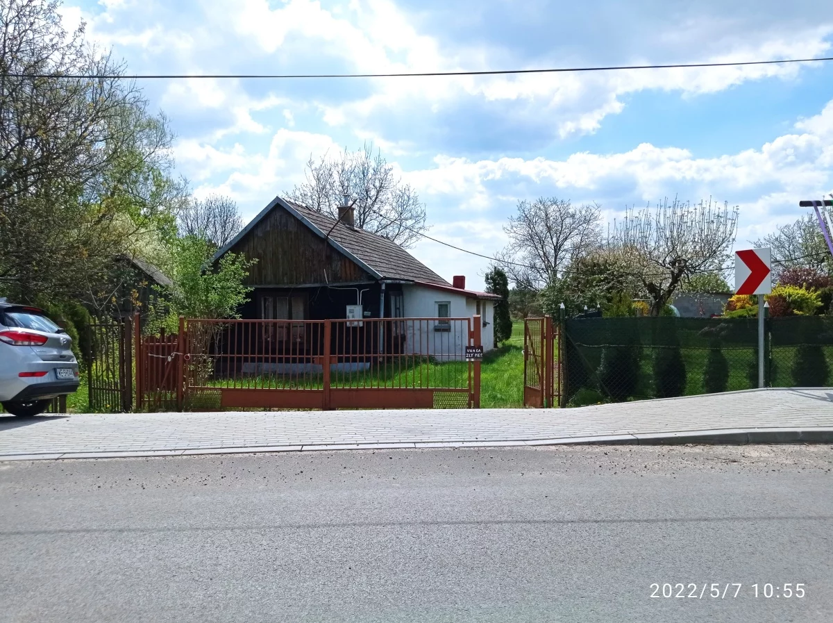 833163 - zdjęcie nr 2