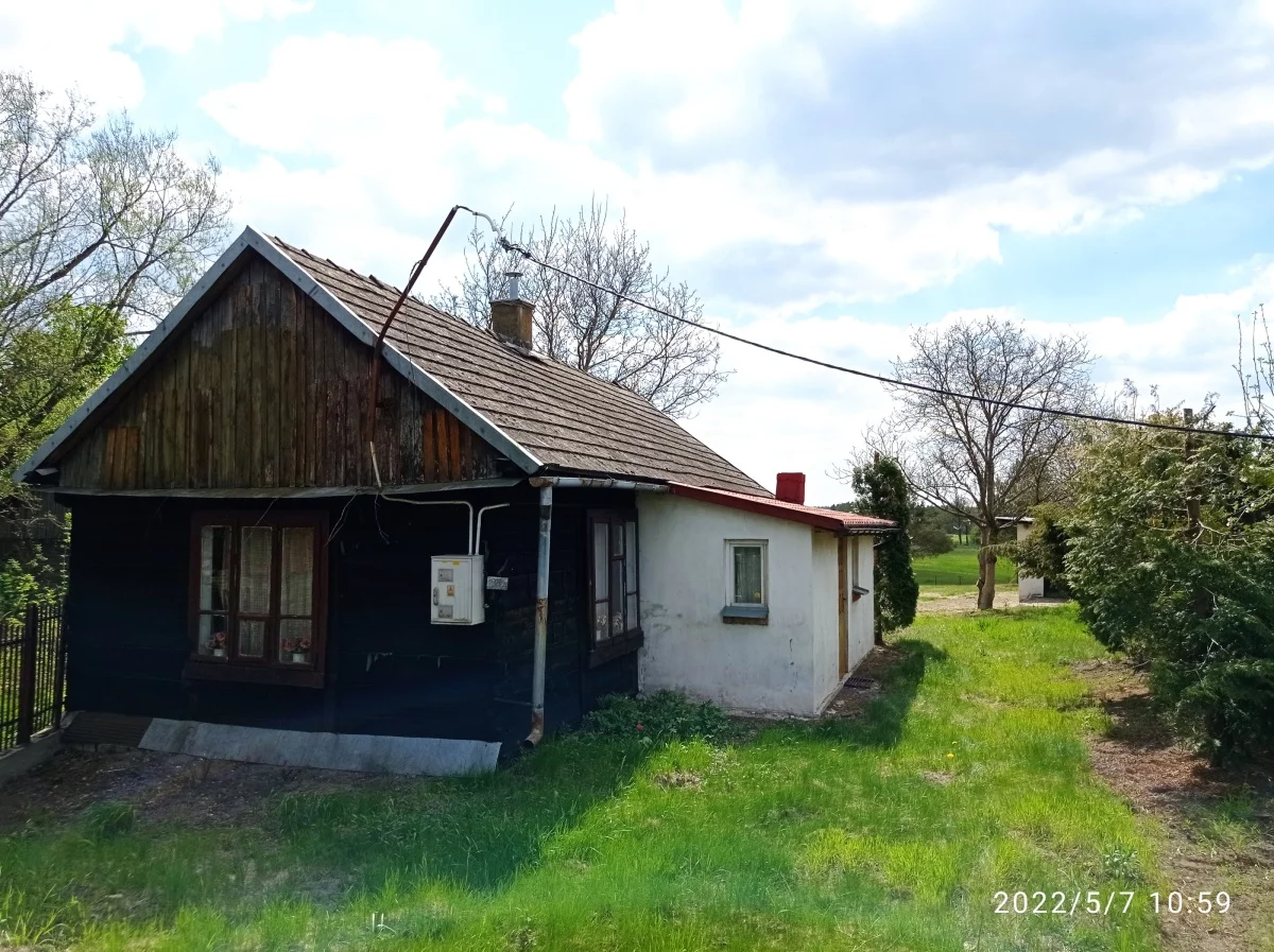 833163 - zdjęcie nr 3