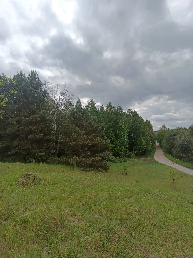 833306 - zdjęcie nr 0