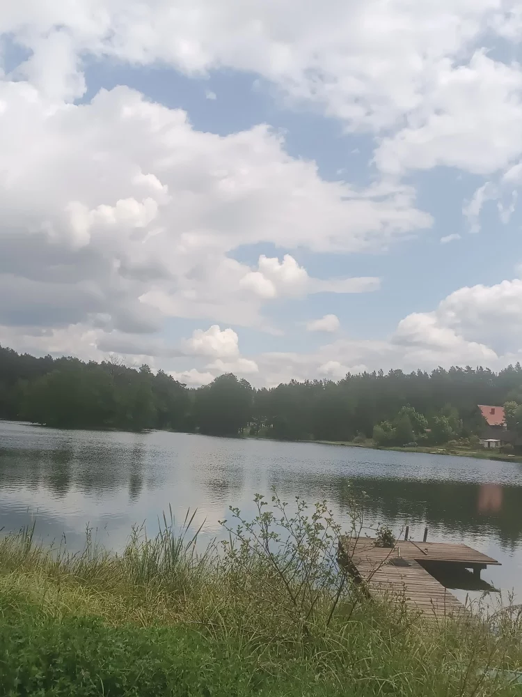 833306 - zdjęcie nr 3