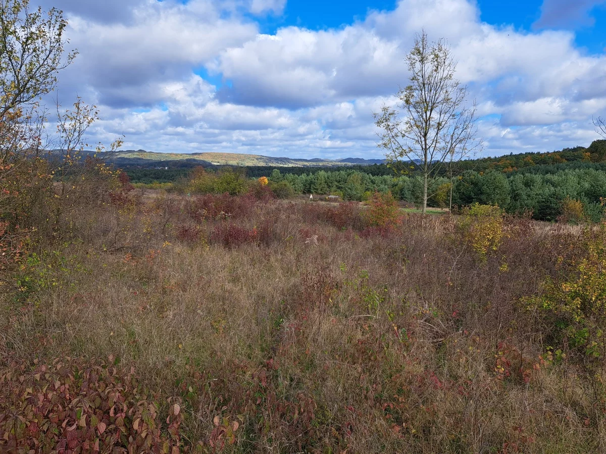 Działka 2 000,00 m², Kolbark, Grabowa, Sprzedaż