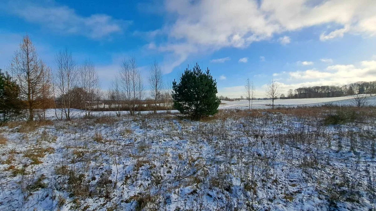 Działka 3 047,00 m², oferta nr , 832429, Kielno, Grzybowa