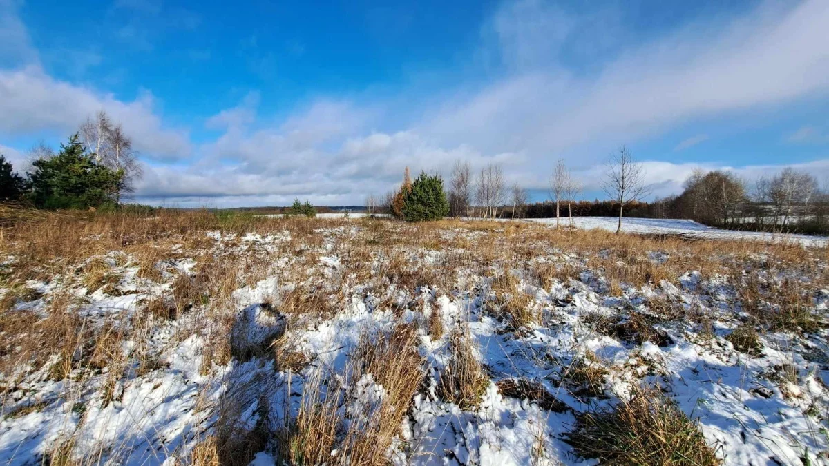 Działka 3 047,00 m², oferta nr , 832429, Kielno, Grzybowa