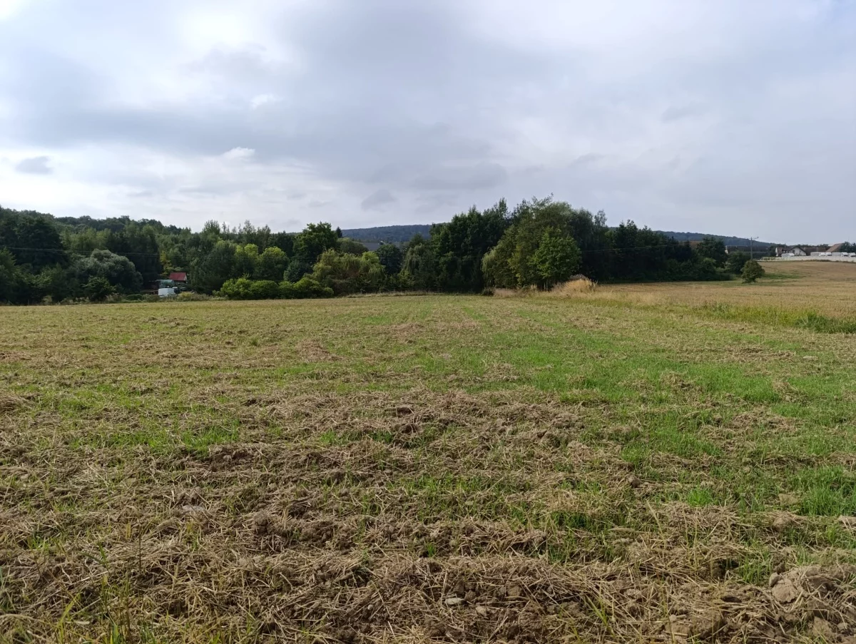 Działka 3 000,00 m², oferta nr , 834203, Jaźwina, Janczowice