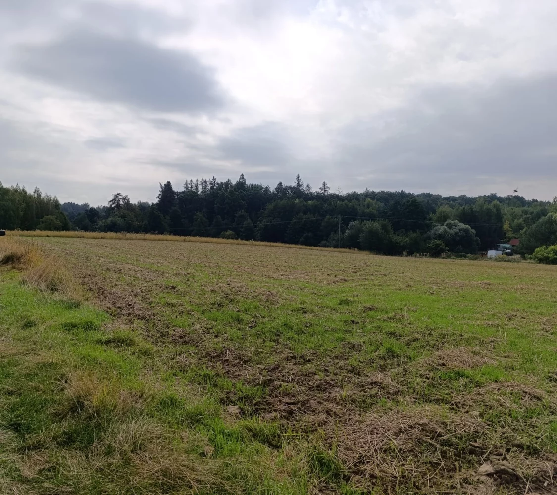 Działka 3 000,00 m², oferta nr , 834203, Jaźwina, Janczowice