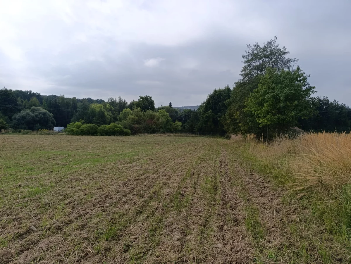 Działka 3 000,00 m², oferta nr , 834203, Jaźwina, Janczowice