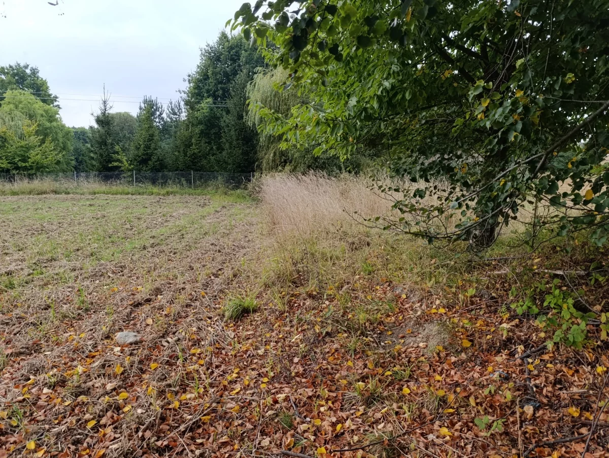 Działka 3 000,00 m², oferta nr , 834203, Jaźwina, Janczowice