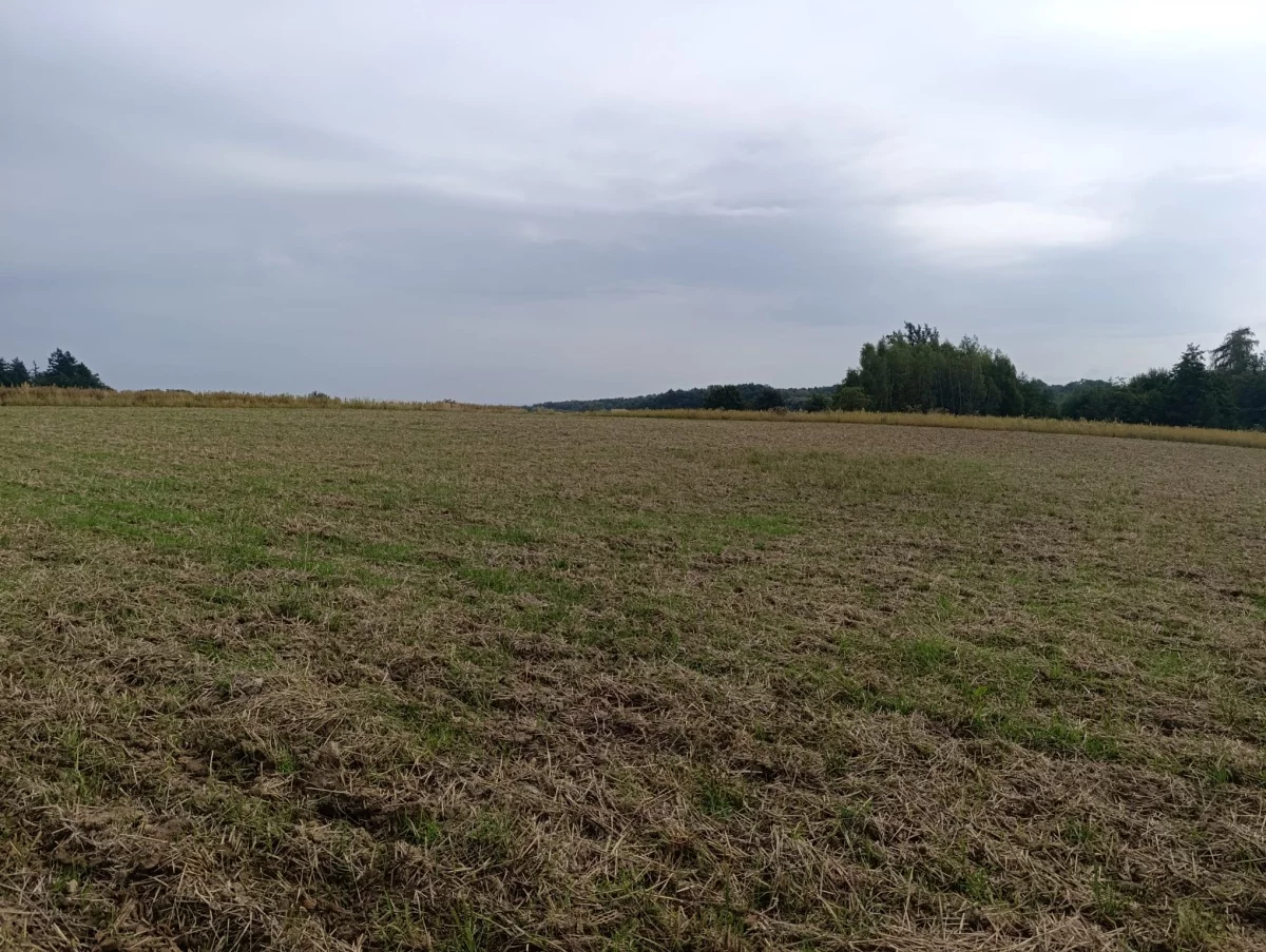 Działka 3 000,00 m², oferta nr , 834203, Jaźwina, Janczowice